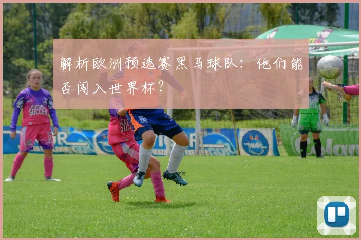 解析欧洲预选赛黑马球队：他们能否闯入世界杯？