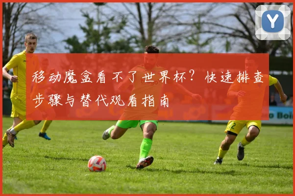 移动魔盒看不了世界杯？快速排查步骤与替代观看指南