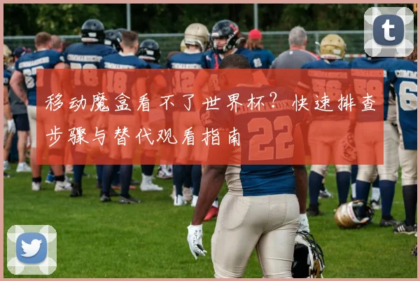 移动魔盒看不了世界杯？快速排查步骤与替代观看指南