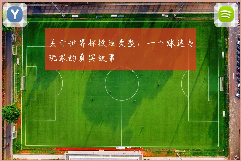关于世界杯投注类型,一个球迷与玩家的真实故事
