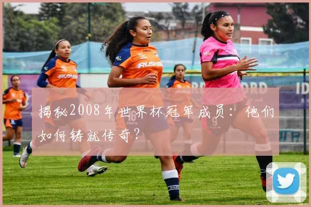 揭秘2008年世界杯冠军成员：他们如何铸就传奇？